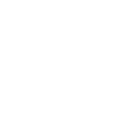 DATADIVE