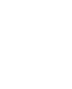 DATADIVE